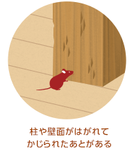 prace-mouse02